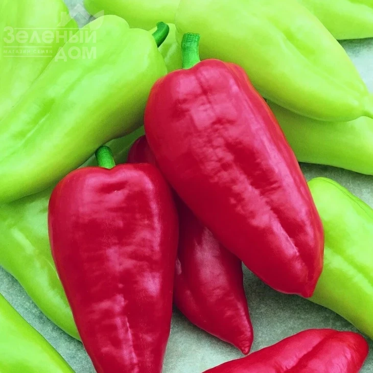 Словакия / Slovakia,50-60 дней фото 1