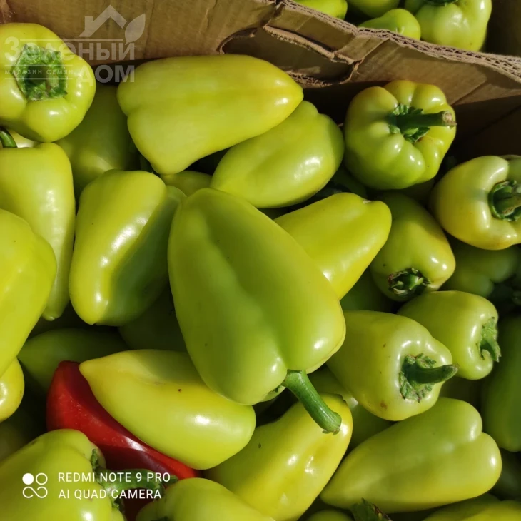 Полет / Polet,120-130 дней фото 4