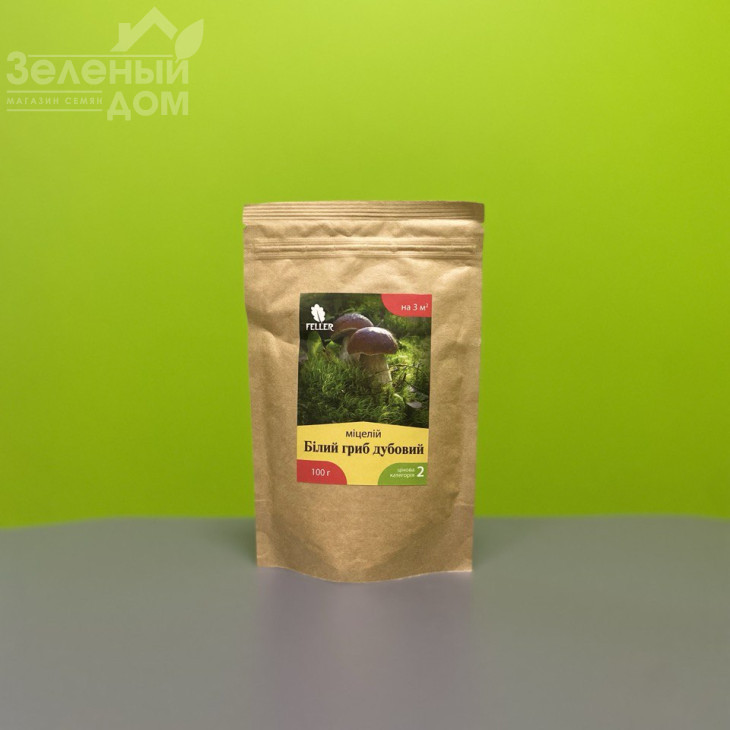 Білий гриб дубовий фото 1