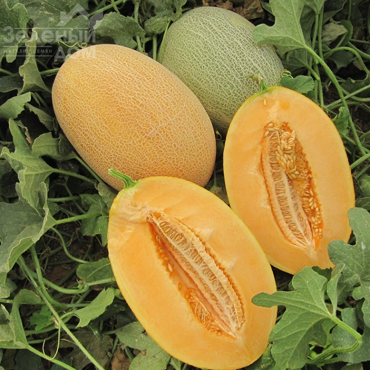 Карьера F1 / Career F1 фото 3