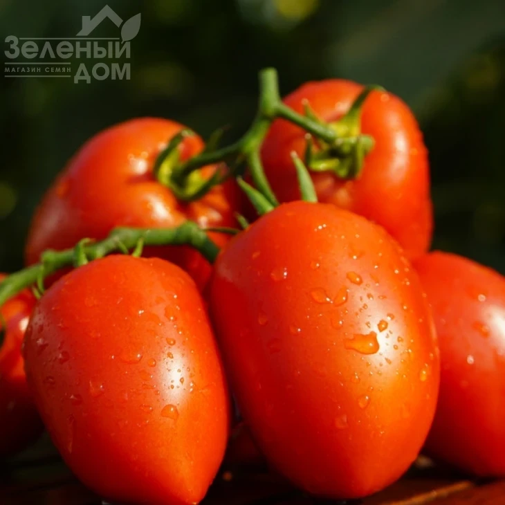 Дино F1 / Dino F1,65-70 дней фото 3