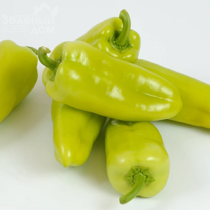 Пироуэт F1 / Pirouet F1  фото 3