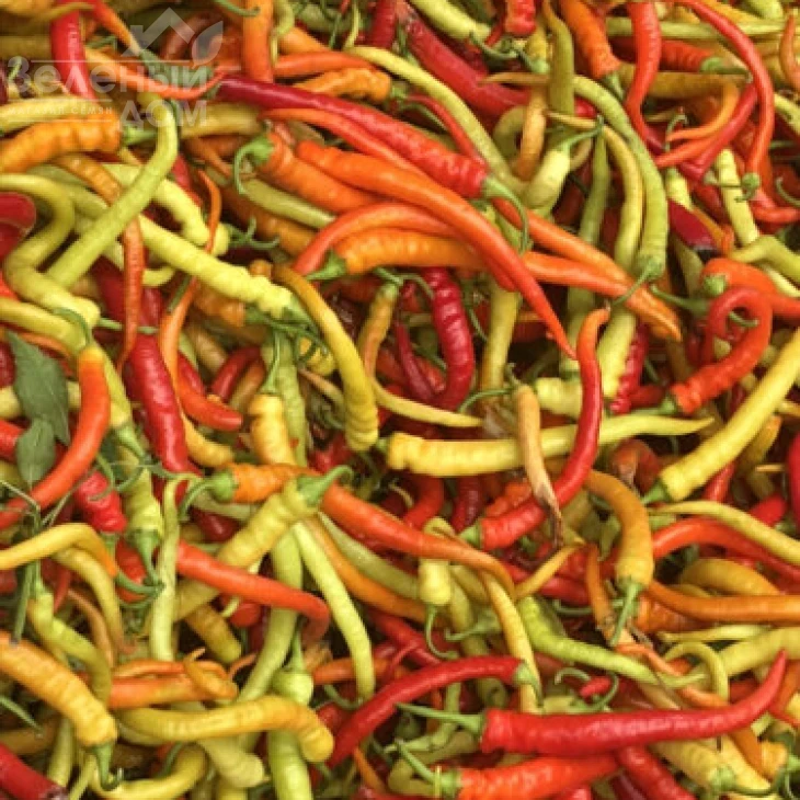 Спираль F1 / Spiral F1 фото 1