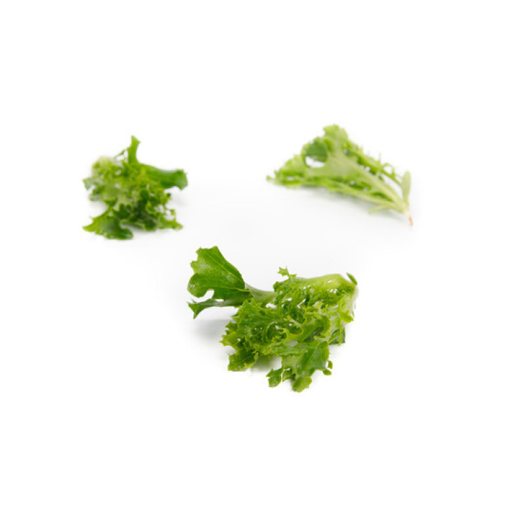 Тамбей / Tambay фото 1