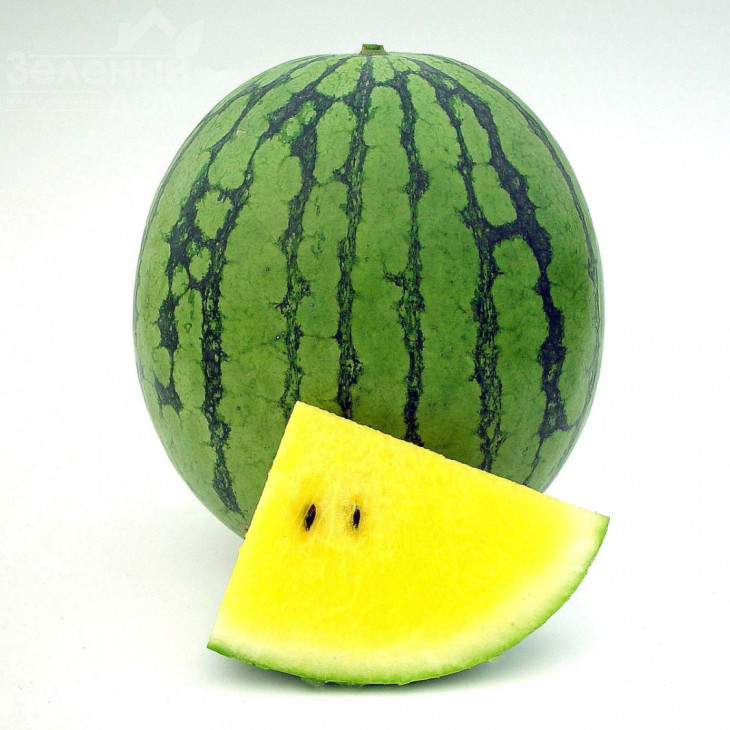 Пріморанж F1 / Primaorange F1 фото 1