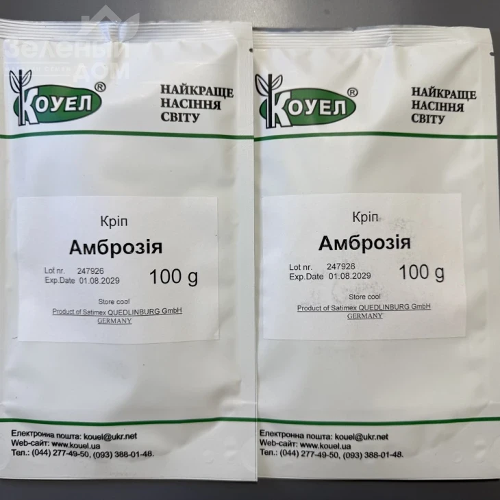 Амброзия / Ambrosia фото 2