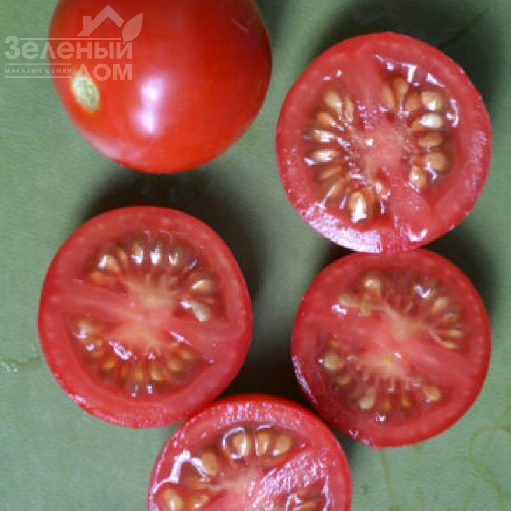 Старскрім F1 / Starskrim F1,95 днів фото 2