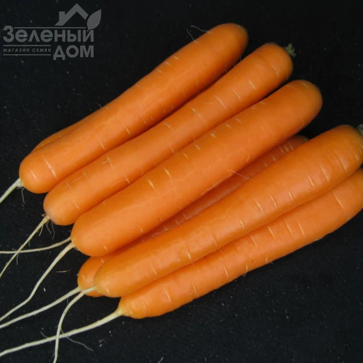 Санторин F1 / Santorin F1,120 дней фото 3