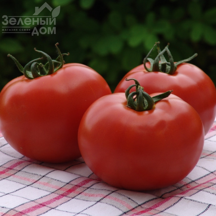 Атерон F1 / Ateron F1 фото 1