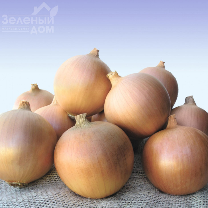 Сібір / Sibir,250-260 днів фото 1