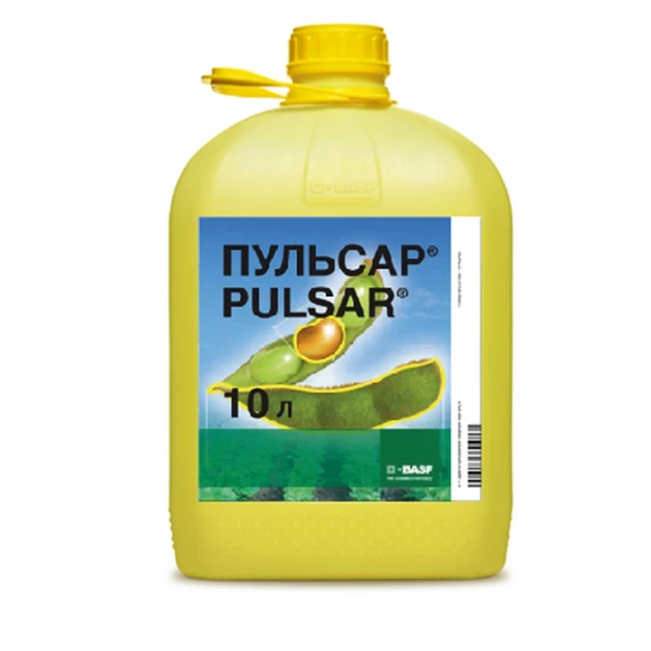 Пульсар 40 / Pulsar 40, РК фото 1