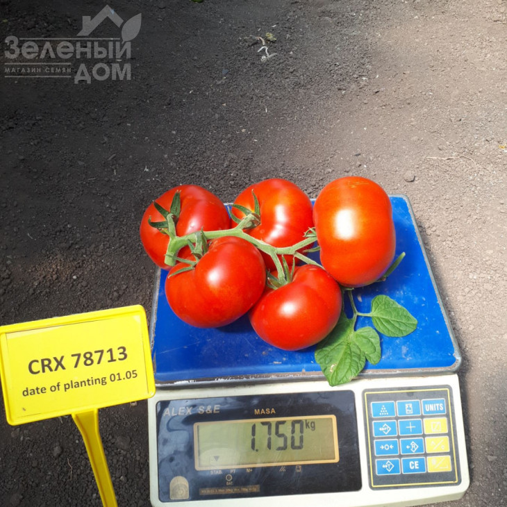 ЦРХ 78713 F1 / CRX 78713 F1 фото 1