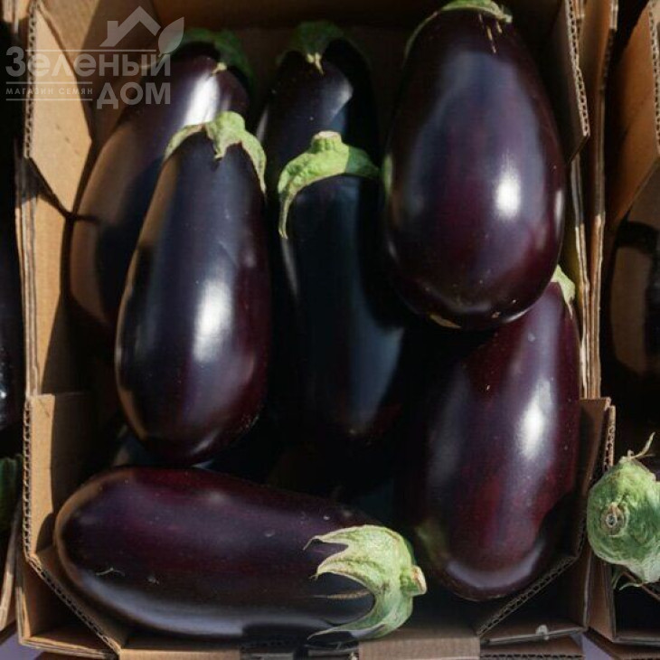 Джокер F1 (ЦРХ 50125) / Joker F1 (CRX 50125),50-55 днів фото 1