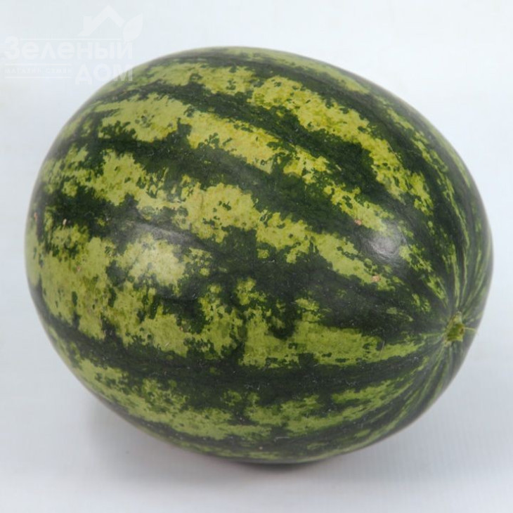 КС 633 F1 / KS 633 F1, 65-68 днів фото 1