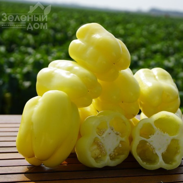 Нікіта F1 / Nikita F1,70 днів фото 6