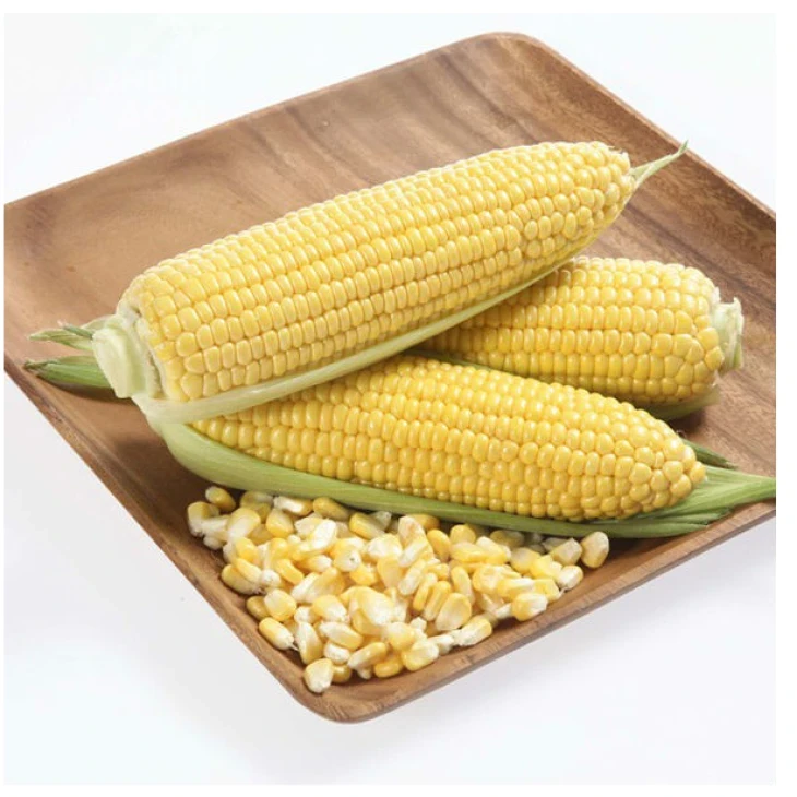 Карамелло F1 / Caramello F1,59-65 дней фото 2