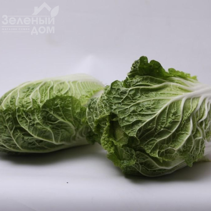 Тахіра F1 / Tahira F1 фото 1