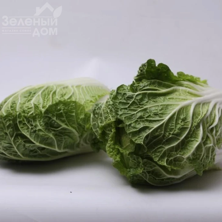 Тахира F1 / Tahira F1 фото 1