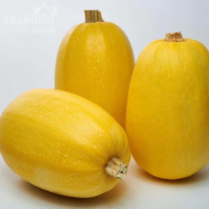 Примавера F1 / Primavera F1, 90 дней фото 1