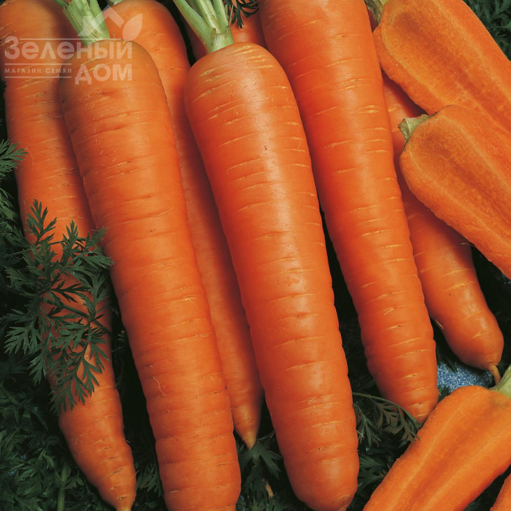 Наполі F1 / Napoli F1,90 днів фото 3