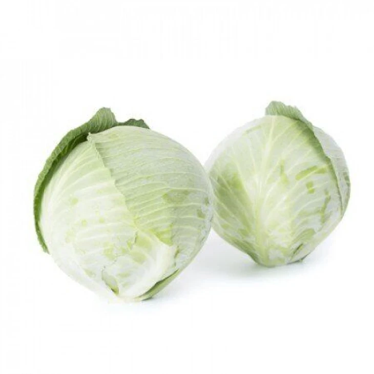 Аксиома F1 / Axioma F1,120-125 дней фото 2