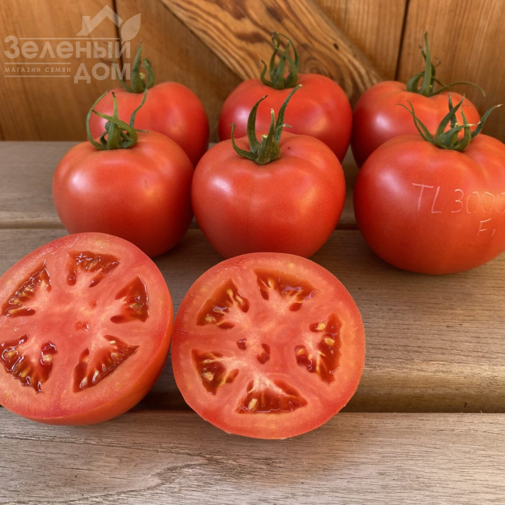 ТЛ 30002 F1 / TL 30002 F1, 60-65 днів фото 4