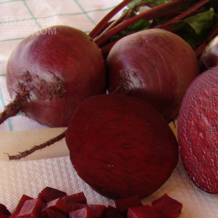 Бона / Bona,115-120 днів фото 1