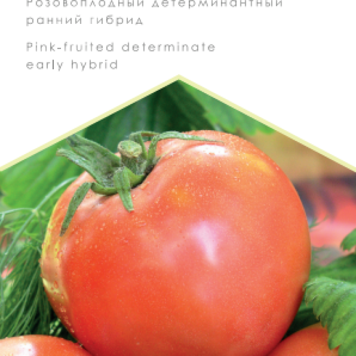 Іванич F1 / Ivanych F1 фото 1