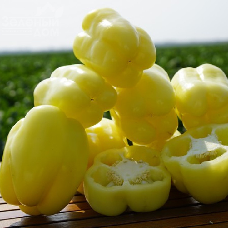 Нікіта F1 / Nikita F1,70 днів фото 5