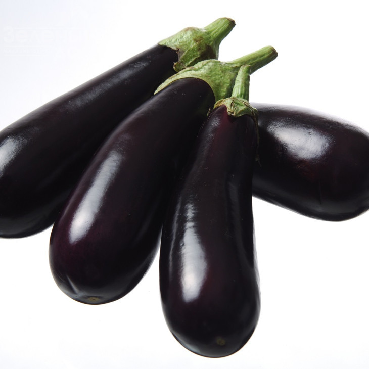 Рома F1 / Roma F1 фото 1