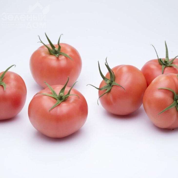 Мамстон F1 / Mamston F1,58-60 днів фото 1