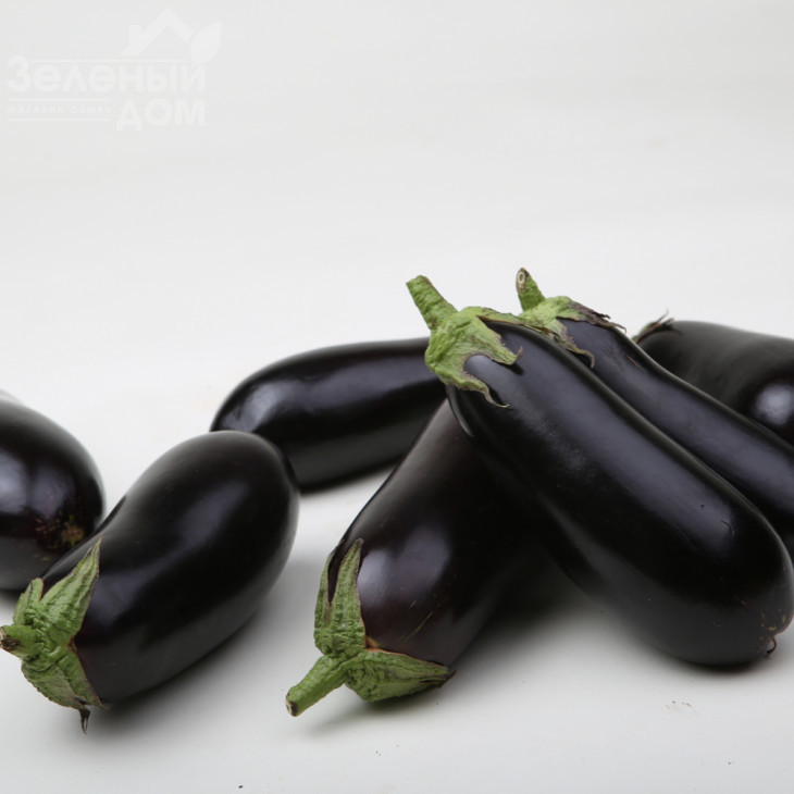 Антрацит F1 / Antratsyt F1,85-95 днів фото 1