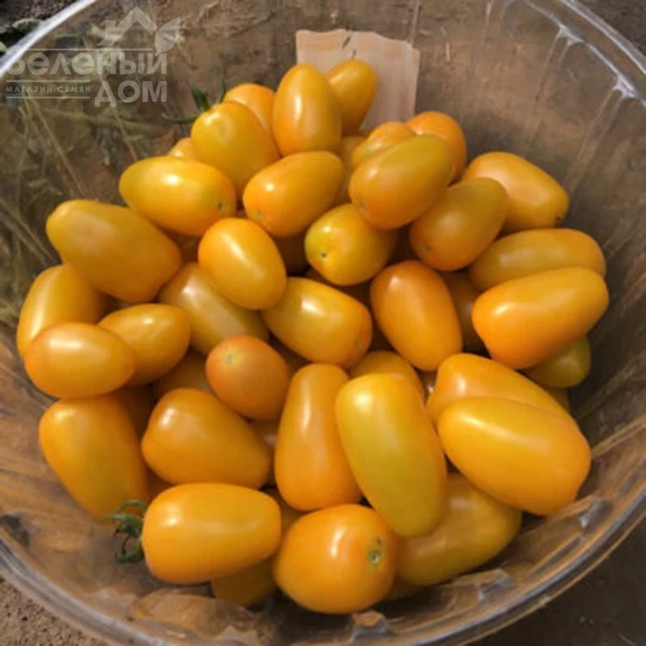 Еллоу Бидс F1 / Yellow Bids F1, 90 дней фото 1