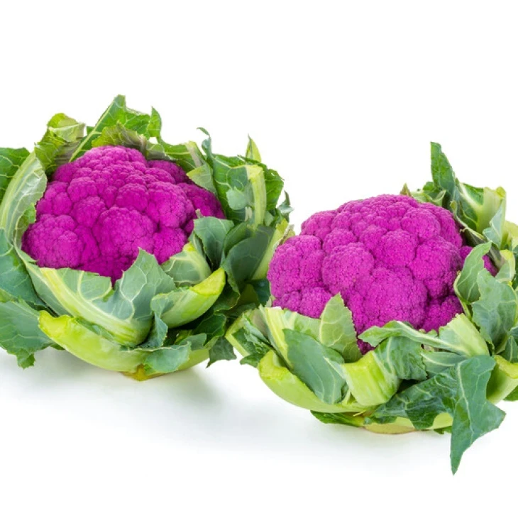 Лавендер F1 / Lavender F1, 65-90 дней фото 2