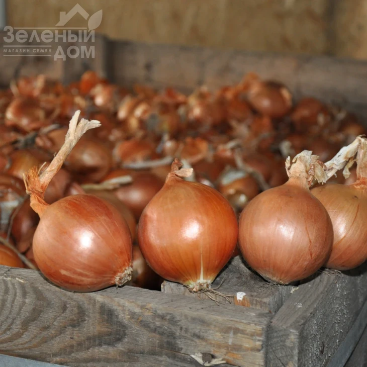 ЕЗ 1104  F1 / EZ 1104  F1 фото 3