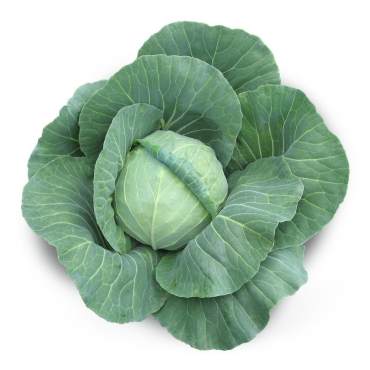 Акіра F1 / Akira F1,48-52 днів фото 1