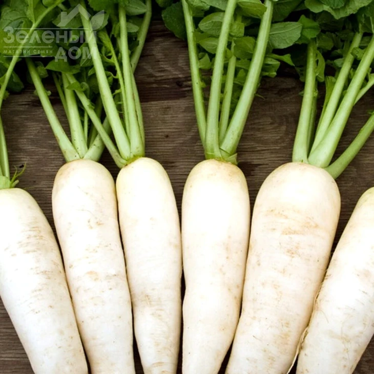 Вайт Фанг F1 / White Fang F1 фото 1