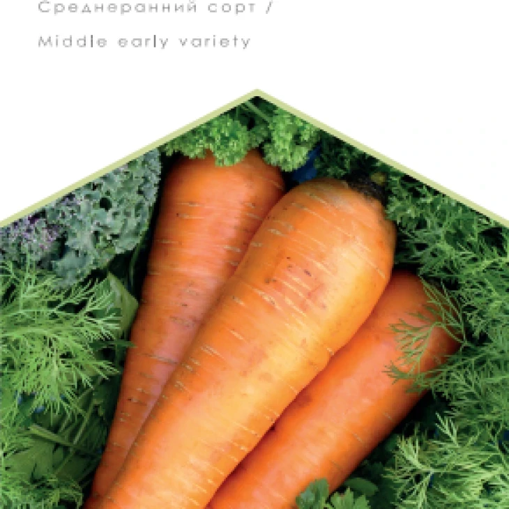 Красавка / Krasavka фото 1