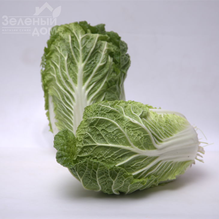 Ясіра F1 / Yasira F1 фото 1