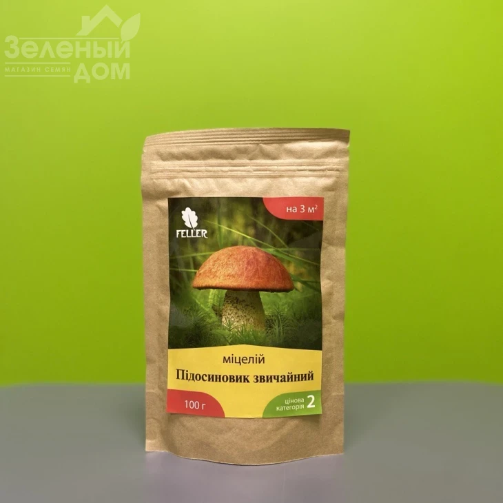 Подосиновик обыкновенный фото 1