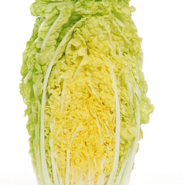 Табалуга F1 / Tabaluga F1,60-70 дней фото 1