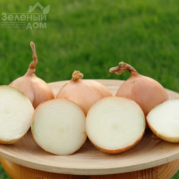 Кенди F1 / Candy F1,87–92 дня фото 1