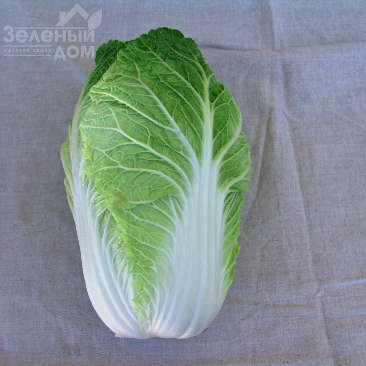 Форко F1 / Forko F1,55-65 дней фото 1