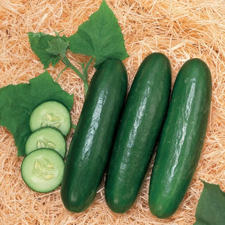 Зена F1 / Zena F1, 38-42 дня фото 1