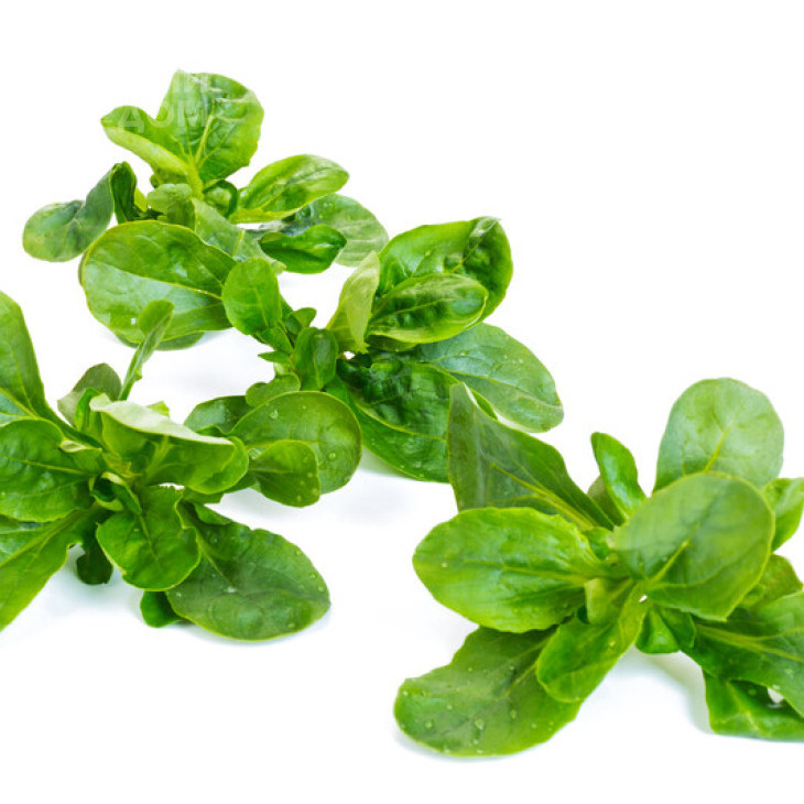 Вейрон / Veyron фото 4