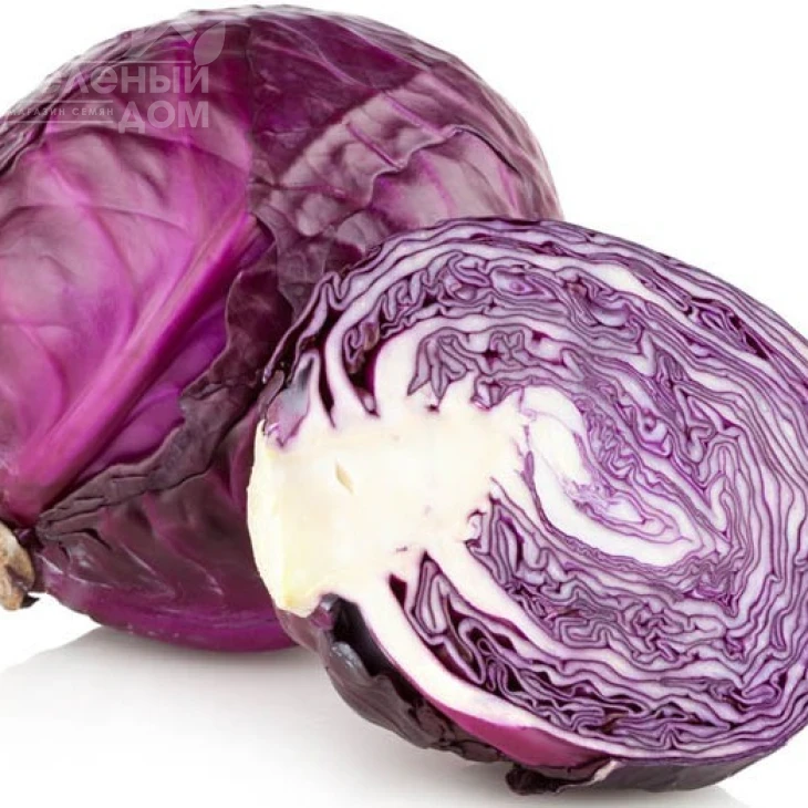 Редма F1 / Redma F1,80 дней фото 1