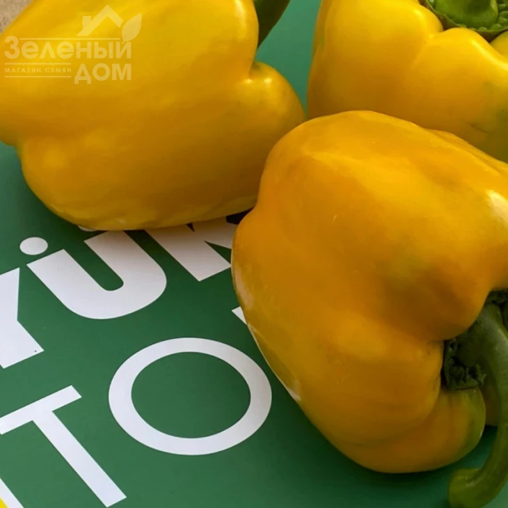 Дениз F1 / Deniz F1,68-72 дней фото 1