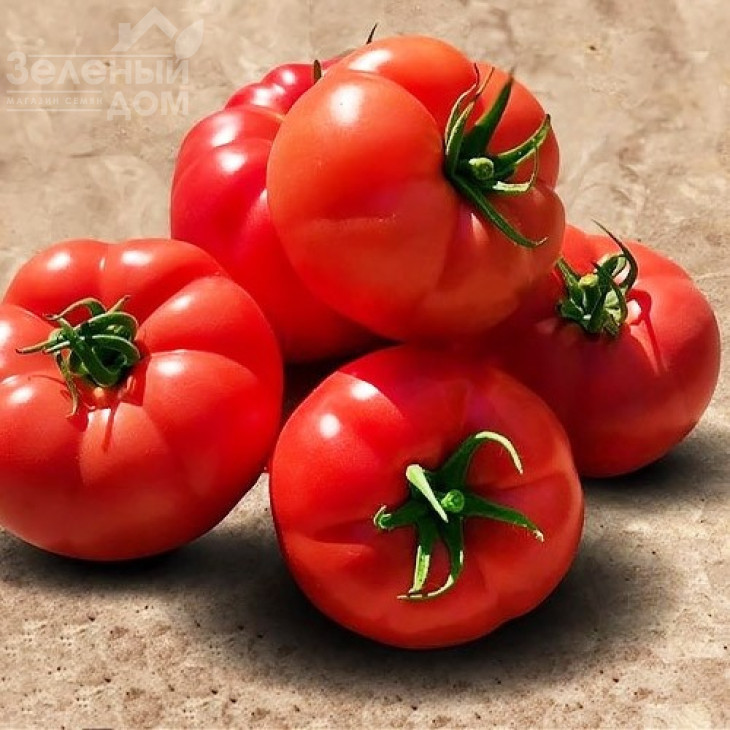 Мейс F1 / Meic F1,100-105 днів фото 1