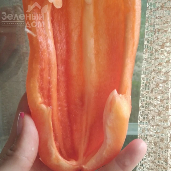 Хеликон F1 / Helikon F1,70-75 дней фото 2