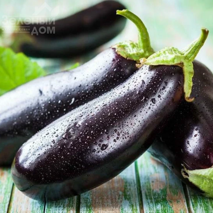 Алмаз / Almaz фото 1